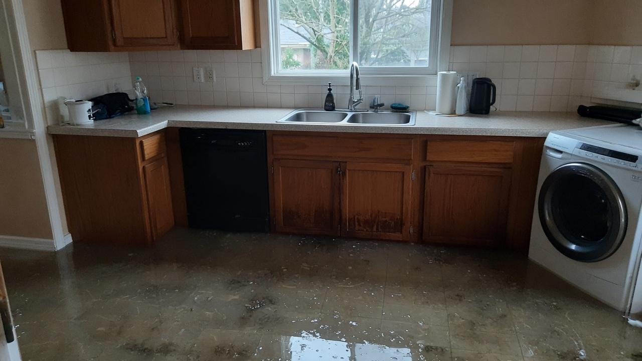 Appliance Leak & Overflow Cleanup